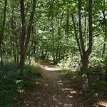 Ein Traum Im Leechwald Naehe Lkh *